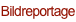 shapeimage_1_link_0
