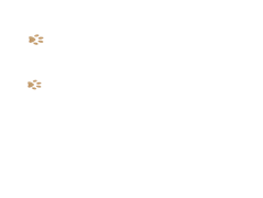 Pandabären
      Kleiner Ying
