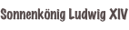 shapeimage_4_link_13