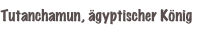 shapeimage_4_link_14
