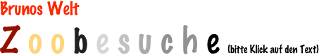 Brunos Welt
Z o o b e s u c h e (bitte Klick auf den Text)
