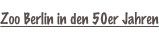 shapeimage_4_link_16