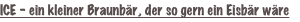 shapeimage_19_link_0