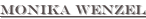 shapeimage_1_link_0
