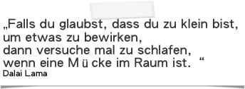 „Falls du glaubst, dass du zu klein bist, 
um etwas zu bewirken, 
dann versuche mal zu schlafen, 
wenn eine Mücke im Raum ist.“
Dalai Lama