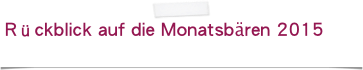 Rückblick auf die Monatsbären 2015