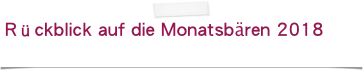 Rückblick auf die Monatsbären 2018