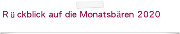 Rückblick auf die Monatsbären 2020