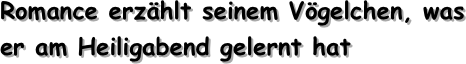 Romance erzählt seinem Vögelchen, was er am Heiligabend gelernt hat