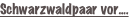 shapeimage_1_link_1