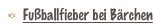 shapeimage_2_link_3